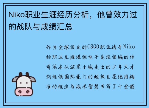 Niko职业生涯经历分析，他曾效力过的战队与成绩汇总
