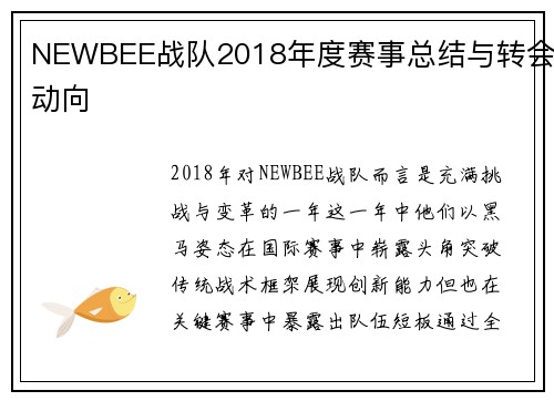 NEWBEE战队2018年度赛事总结与转会动向